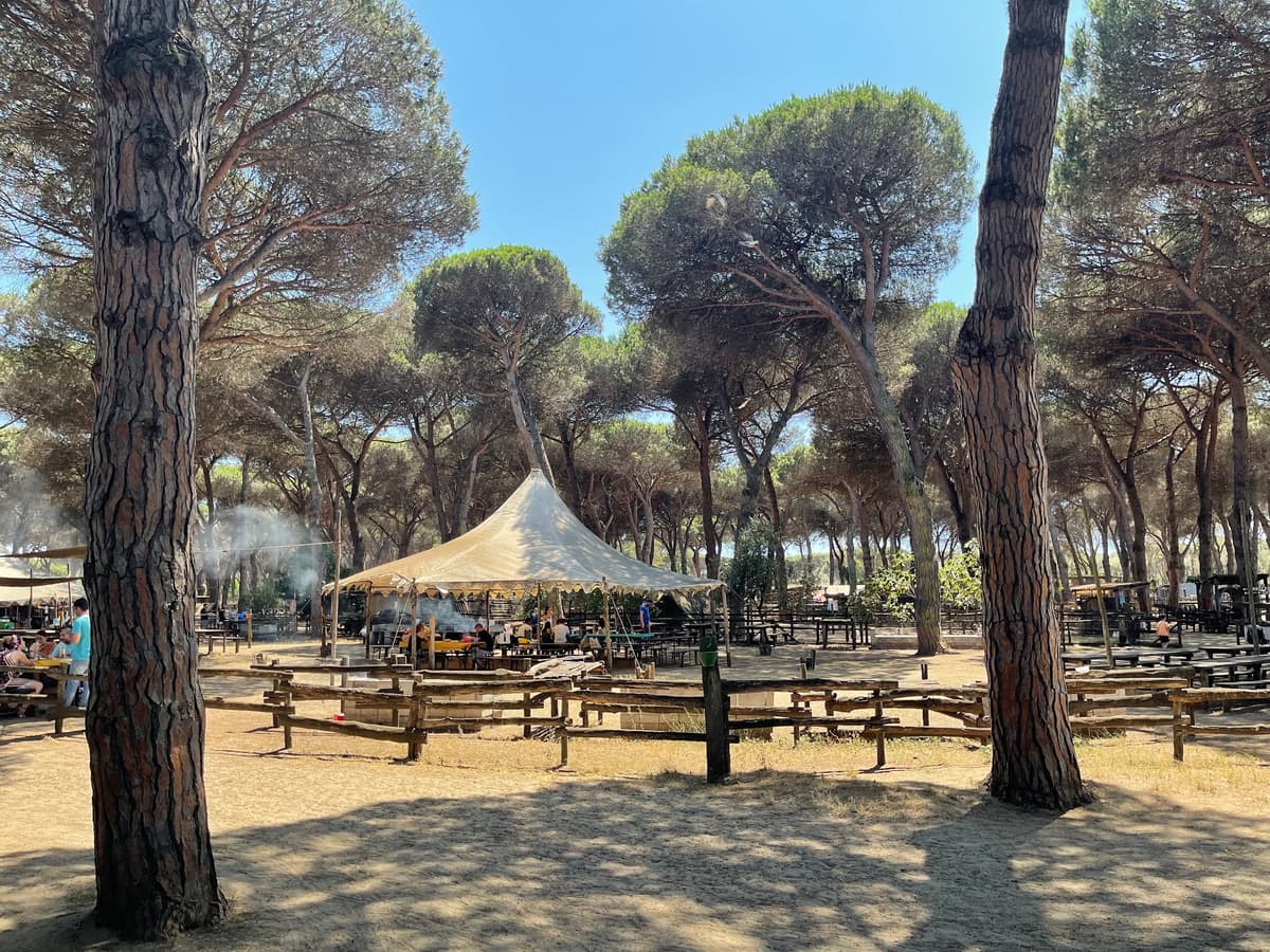 La Fattoria degli Animali