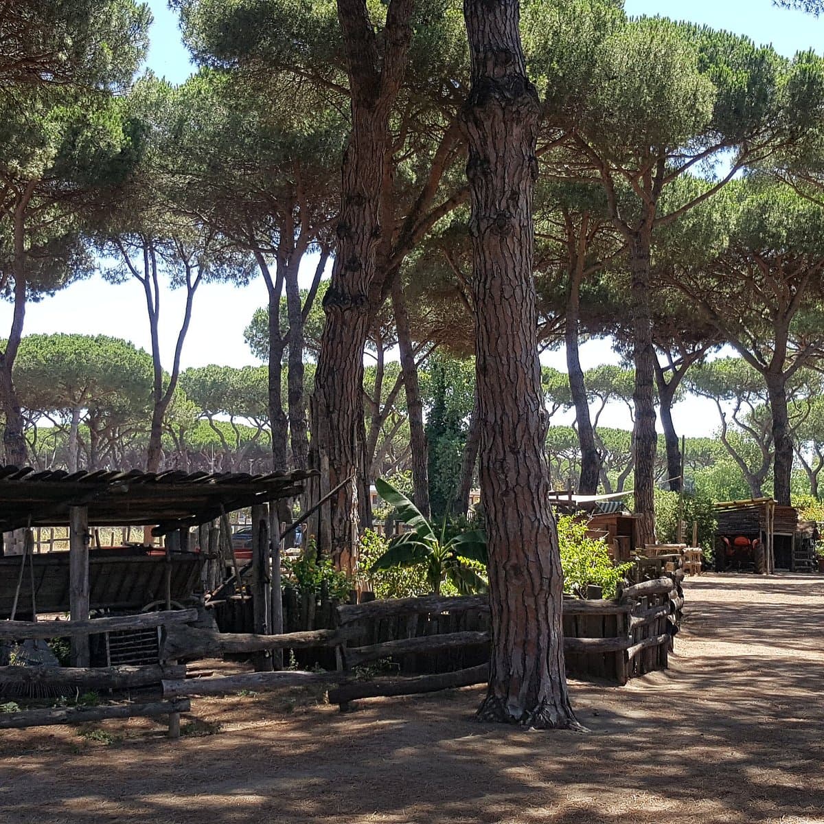 La Fattoria degli Animali