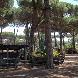 La Fattoria degli Animali