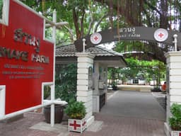 Snake Farm