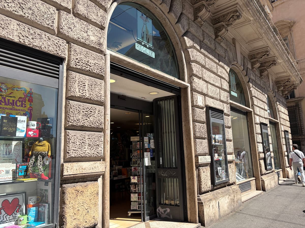 Fox gallery