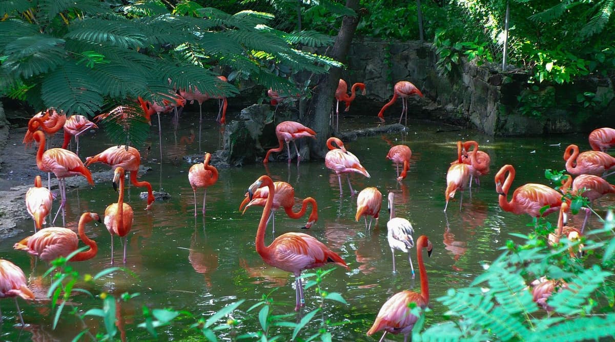 Tropical Gardens Park