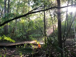 Edith L Moore Nature Sanctuary