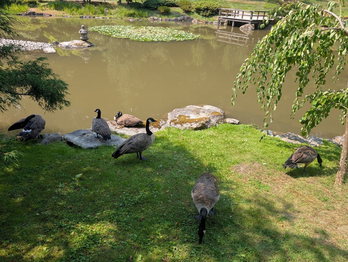 Washington Park Arboretum