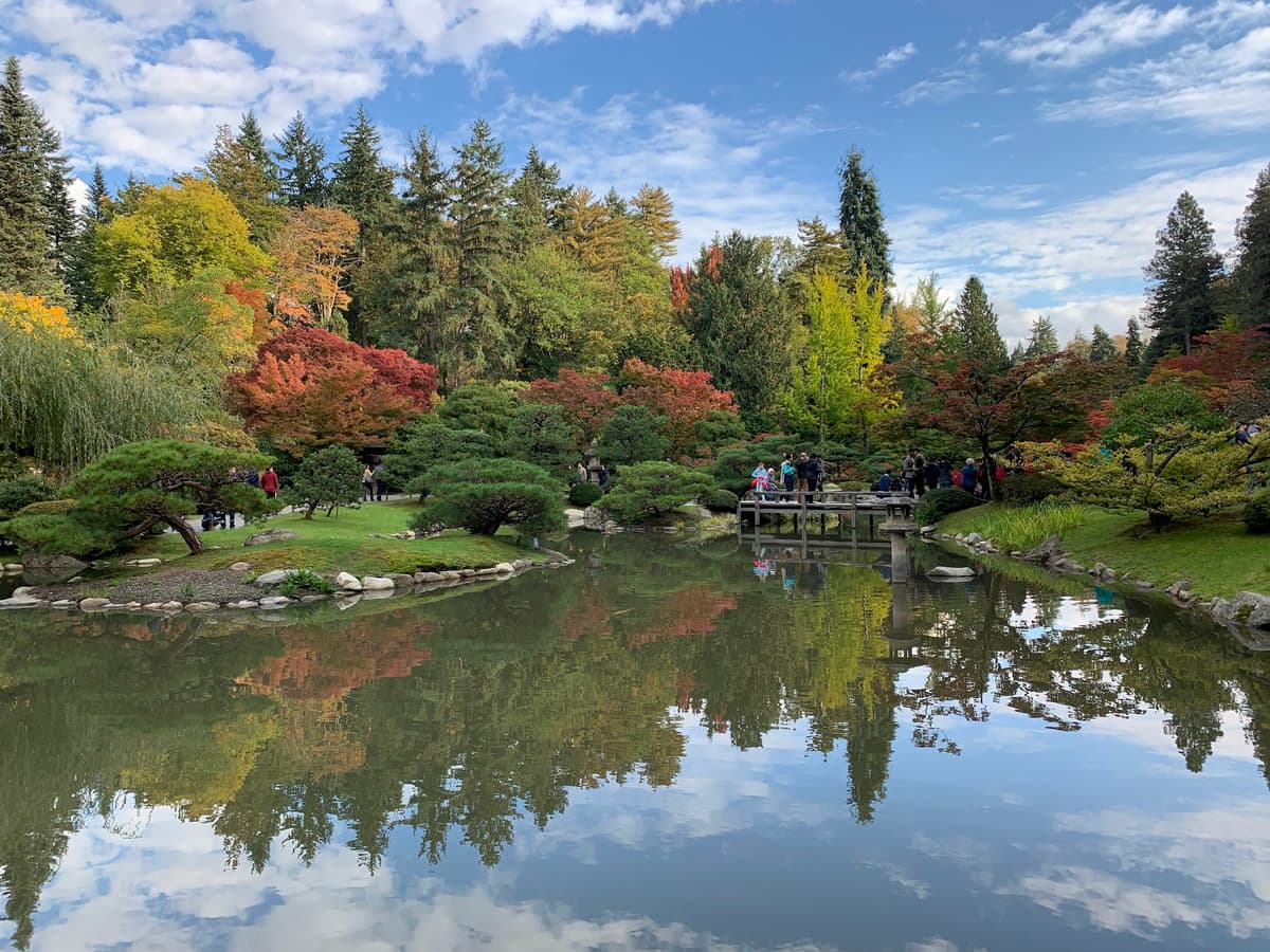 Washington Park Arboretum