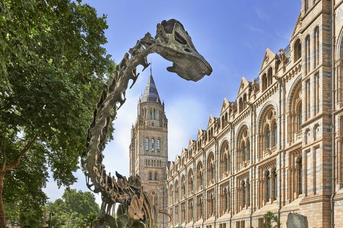 Natural History Museum