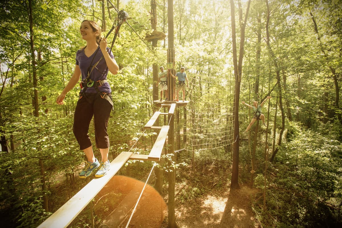 Go Ape Raleigh-Durham