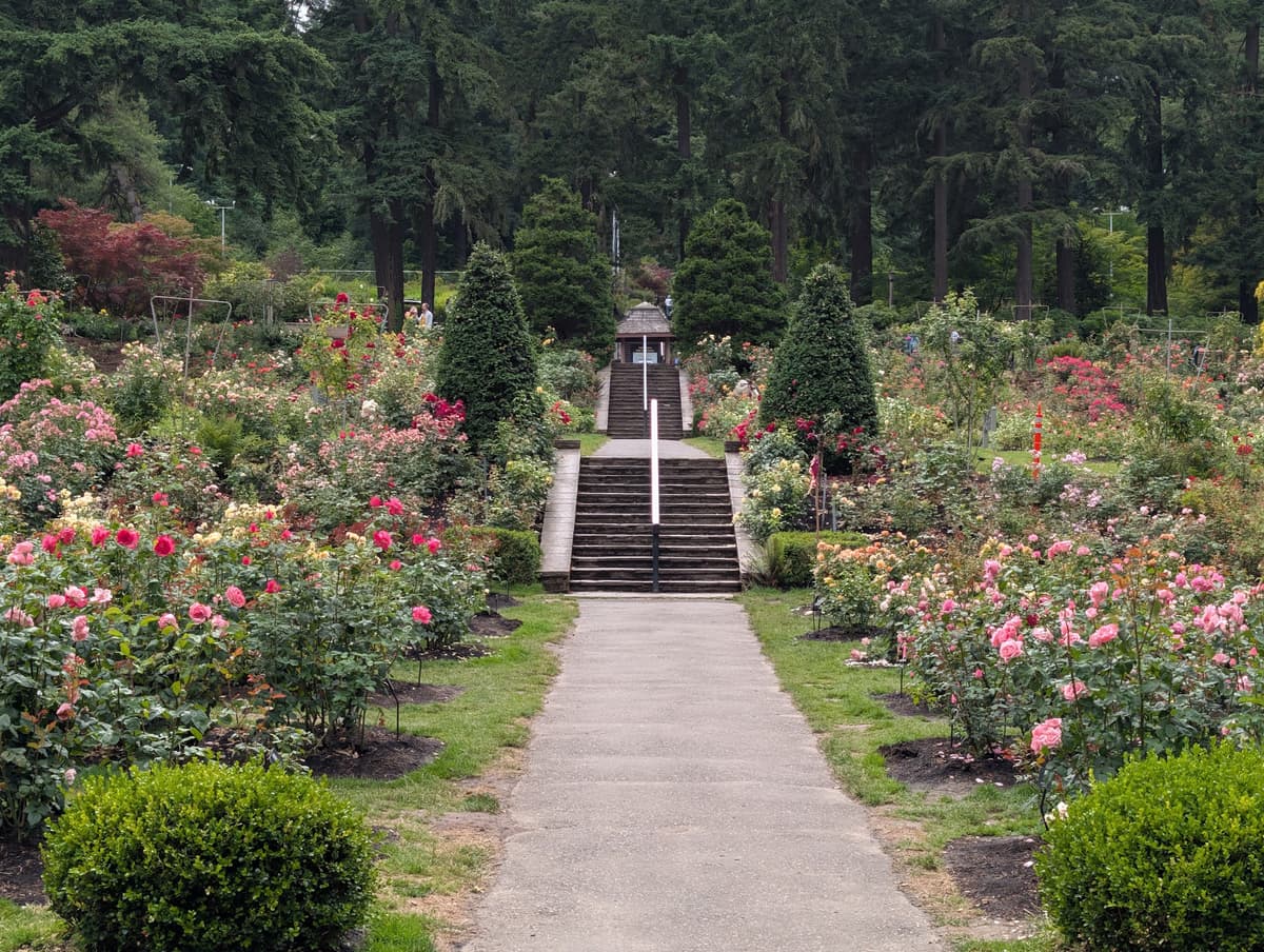 International Rose Test Garden