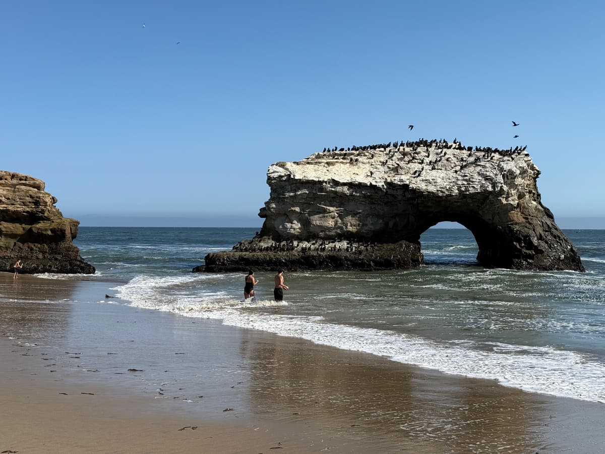 Best Santa Cruz Activities for Toddlers (Ages 0–4)