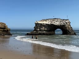 Natural Bridges Monarch Trail