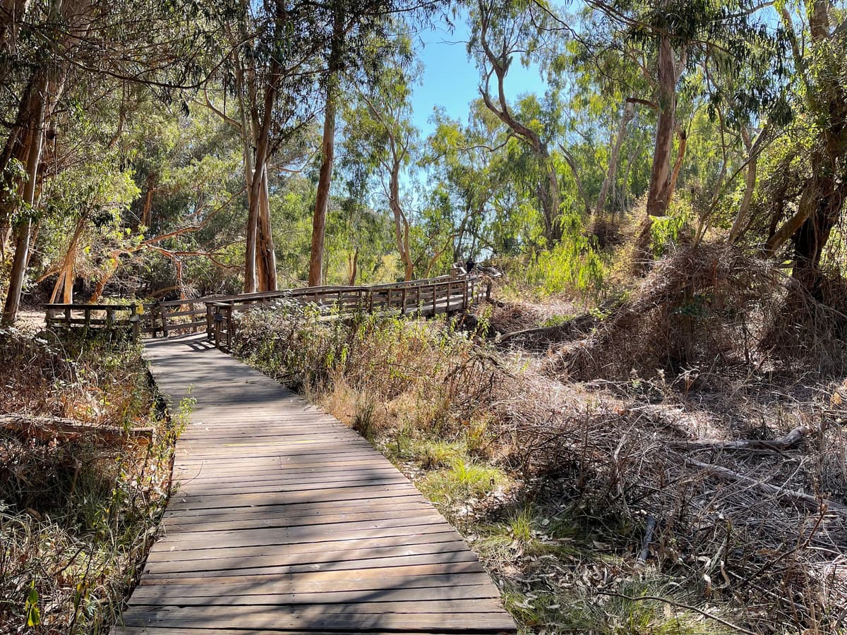 Natural Bridges Monarch Trail