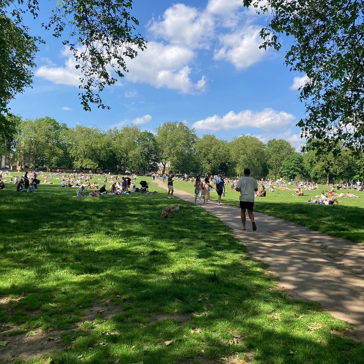 Highbury Fields Playground