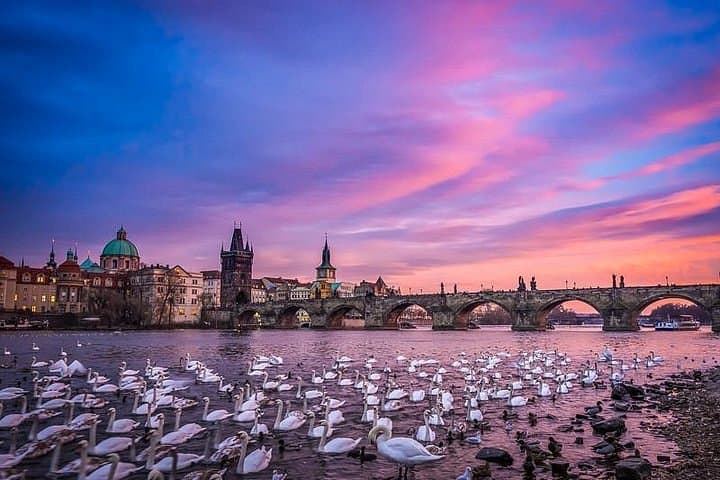 Enjoy Prague