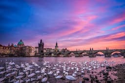 Enjoy Prague