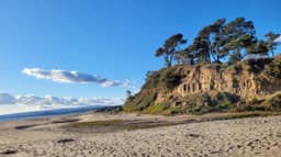 Hidden Beach County Park