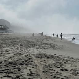 Hidden Beach County Park