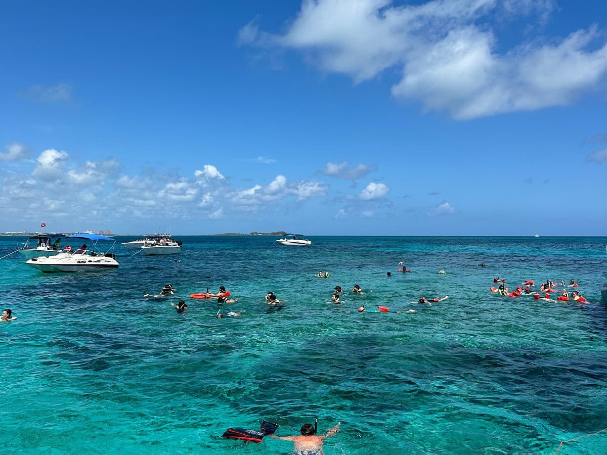 Wild Willy's Water Sports & Tours