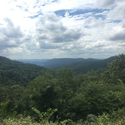 Monte Sano Nature Preserve (Bankhead Trailhead)