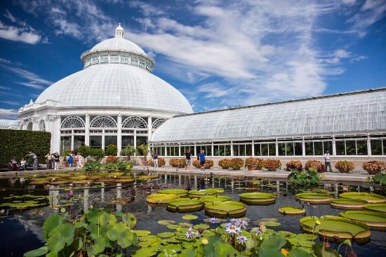 Native Plant Garden, NYBG