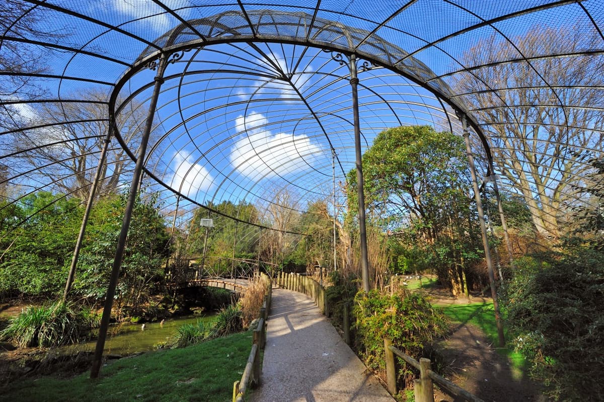 La Menagerie, le zoo du Jardin des Plantes