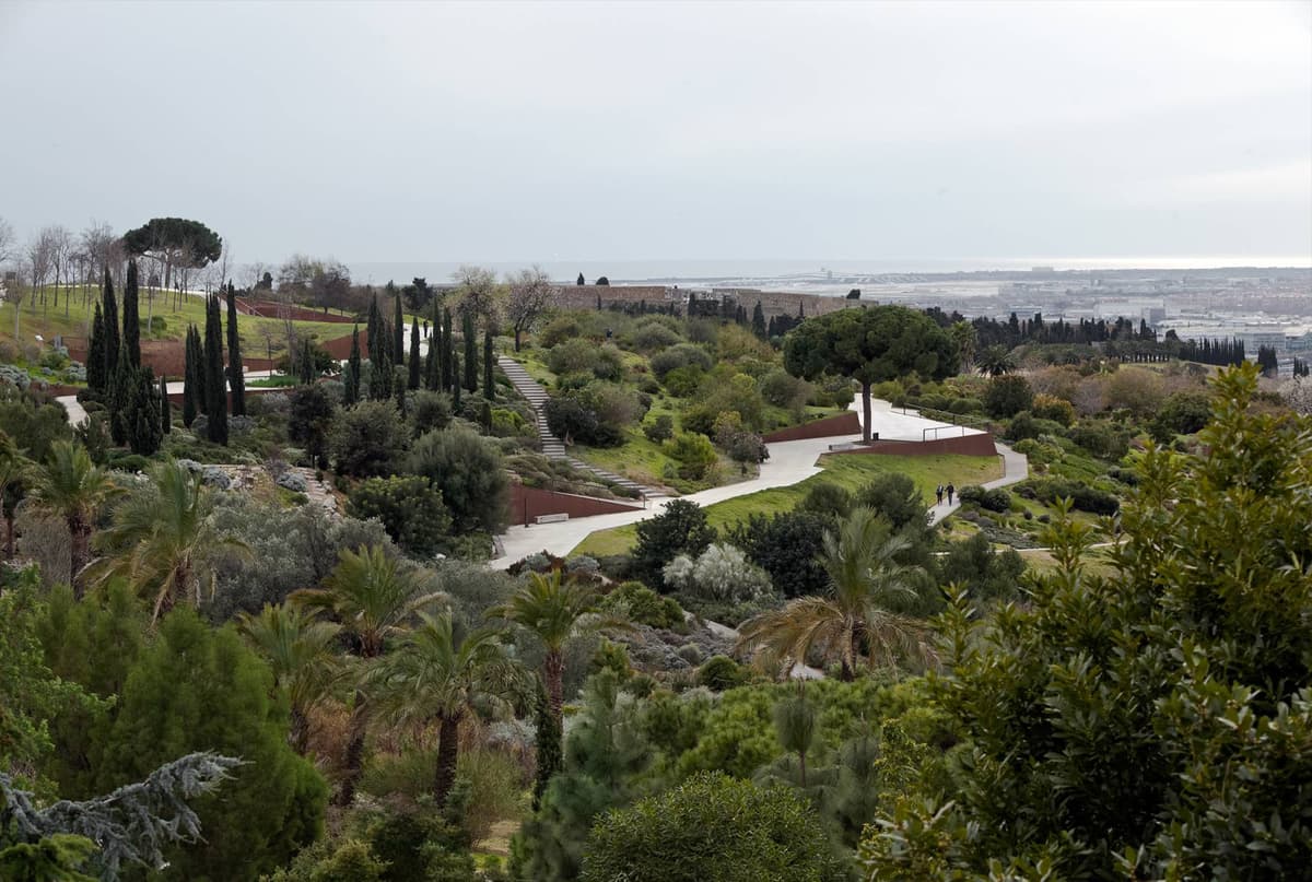 Barcelona Botanical Garden