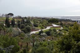 Barcelona Botanical Garden