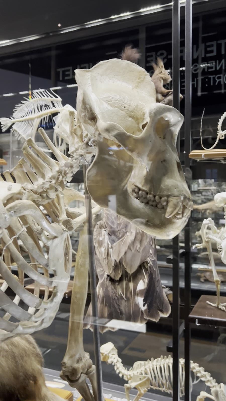 Museum of Natural Sciences of Barcelona