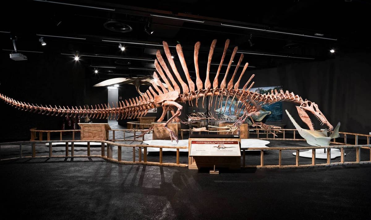 Museum of Natural Sciences of Barcelona