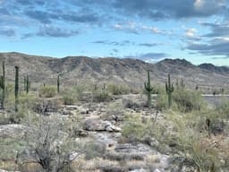 South Mountain Park/Preserve