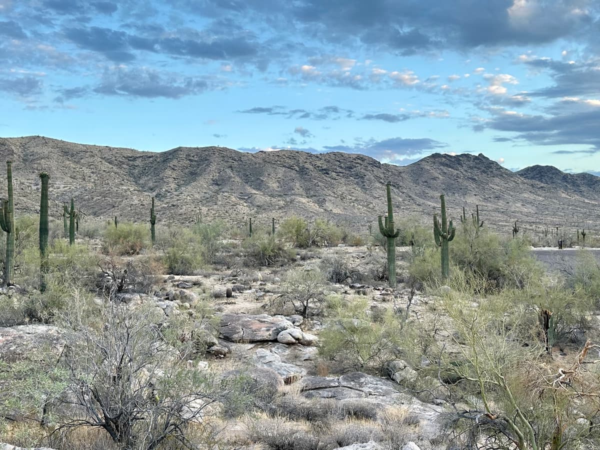 South Mountain Park/Preserve