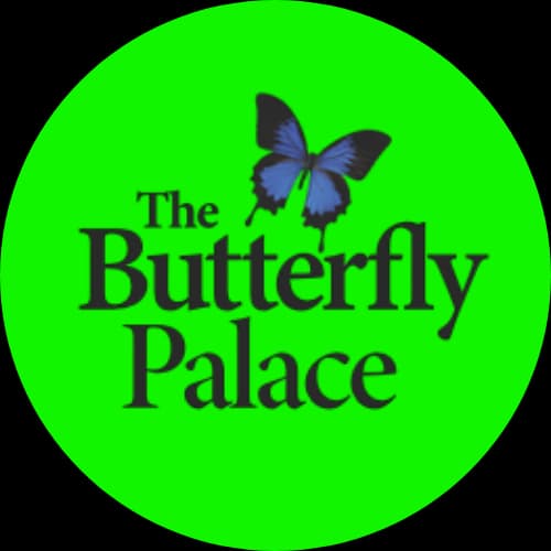 The Butterfly Palace & Rainforest Adventure