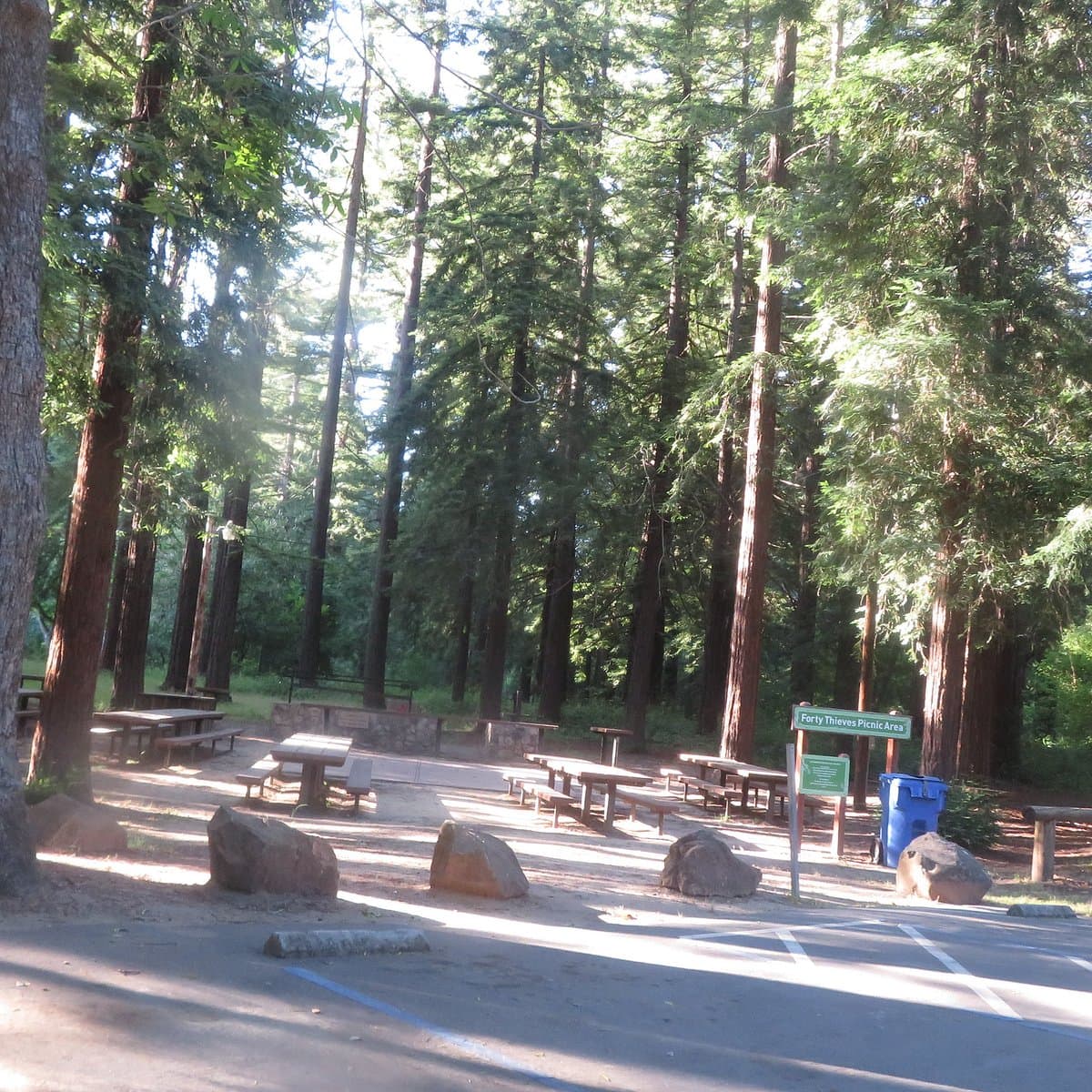 DeLaveaga Park