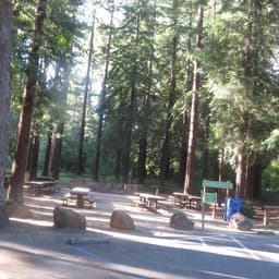 DeLaveaga Park