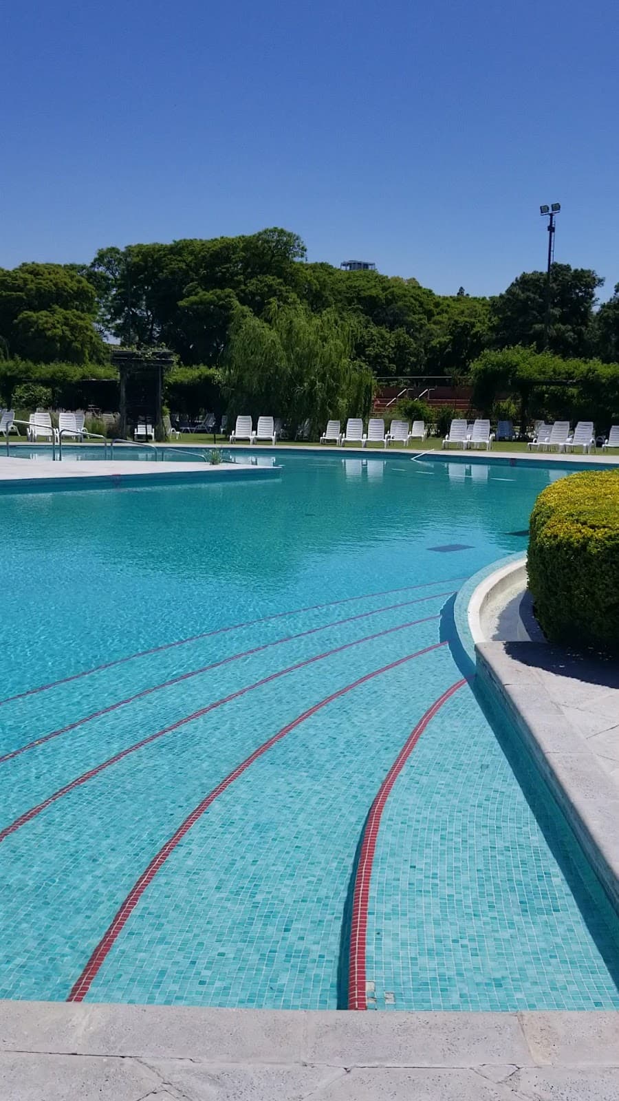 Club de Amigos