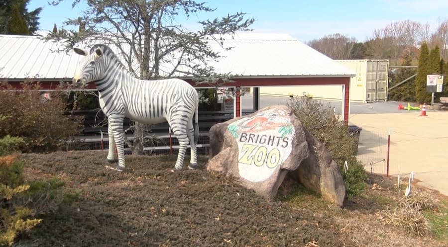 Brights Zoo — photo 1 of 6
