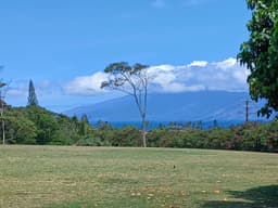 Napili Park