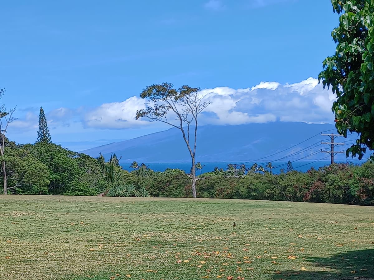 Napili Park, photo 1 of 1
