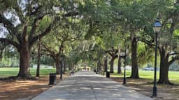 Daffin Park