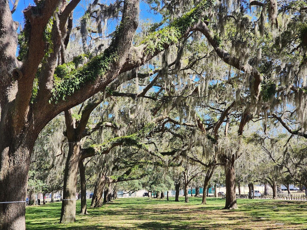 Daffin Park