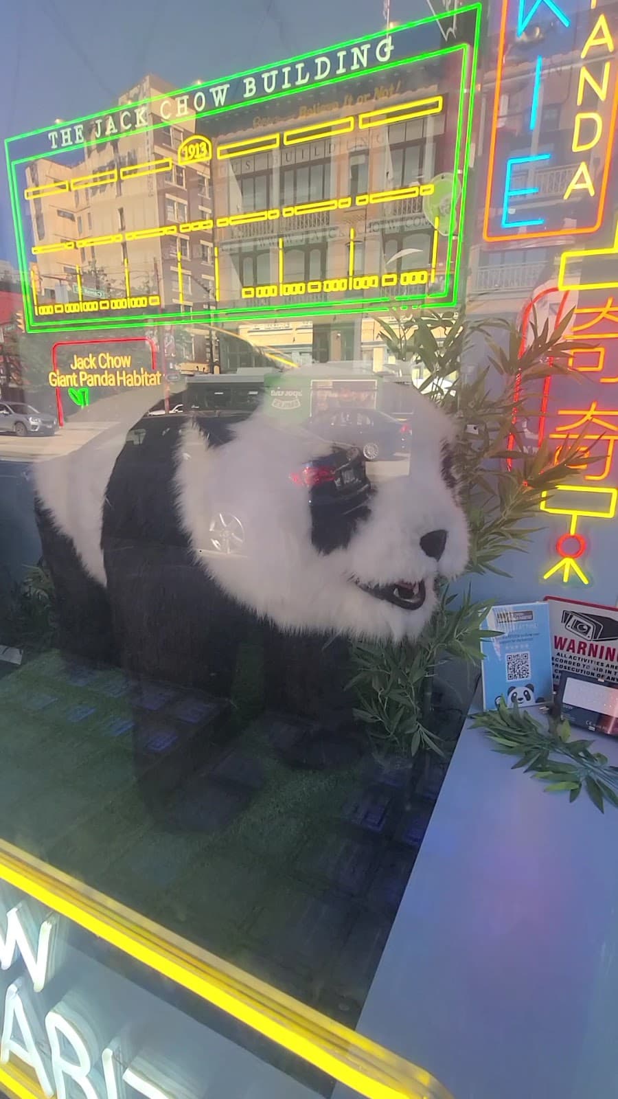 Jack Chow Giant Panda Habitat