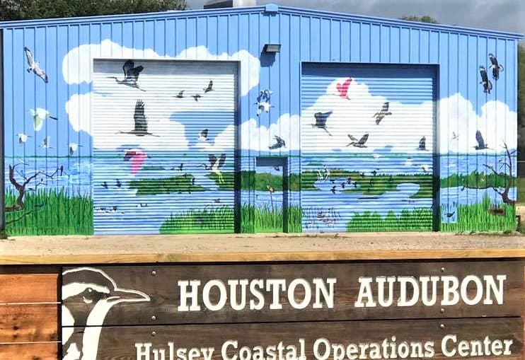 Houston Audubon