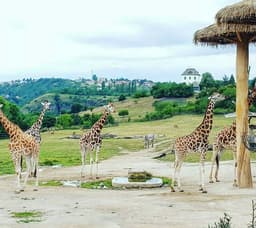 ZOO Branik