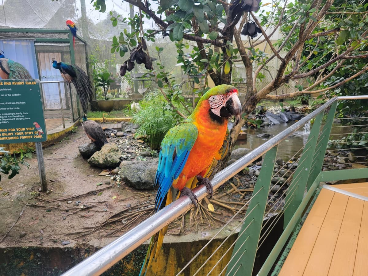 Parque Forestal La Marquesa
