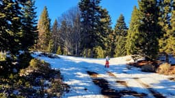 North Tahoe Regional Park