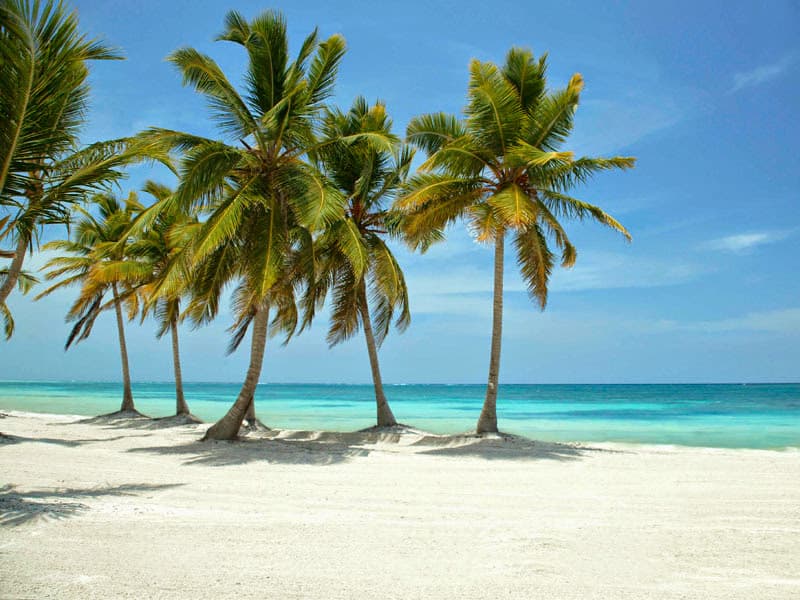 Punta Cana Tours, photo 1 of 2