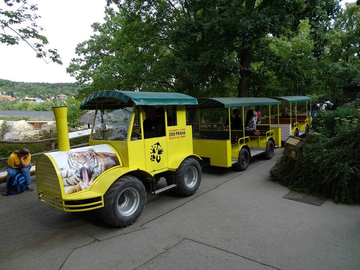 Children's Tram - Prague Zoo, photo 1 of 2