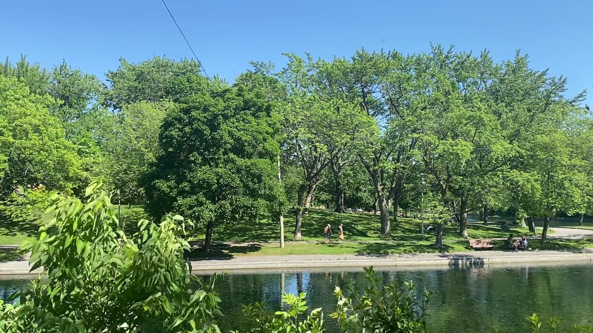 Parc La Fontaine