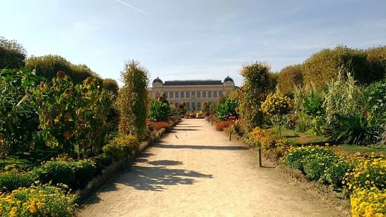 Labyrinthe du Jardin des Plantes, photo 1 of 2