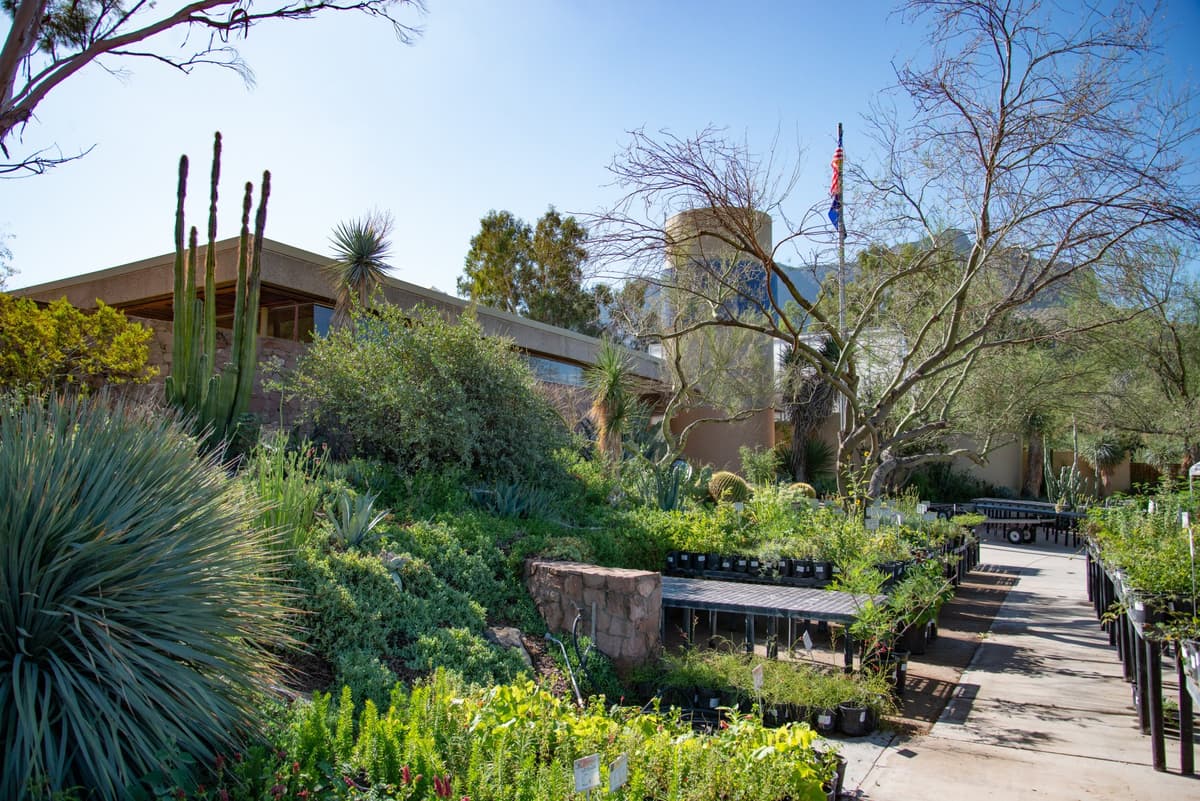 Boyce Thompson Arboretum
