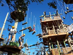 Cocoa Beach Aerial Adventures